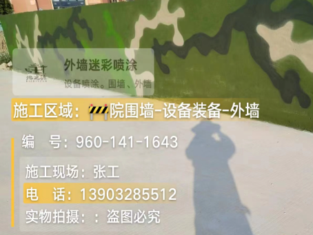 静海 迷彩漆喷涂价格（按平方米计费）