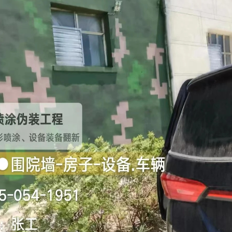 静海数码迷彩漆施工
